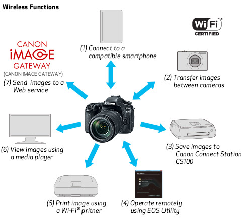 Canon Eos Service Adjustment Software As A Service